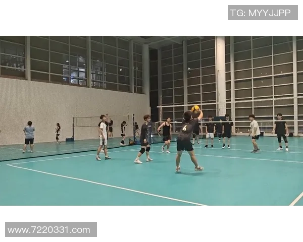 排球专题:聚焦深圳排球队的状态 排球专题:聚焦深圳排球队的状态