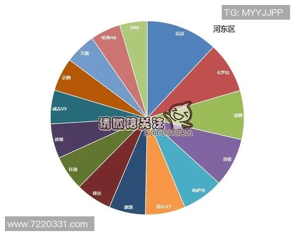独家分析：重庆网球队的速度对比